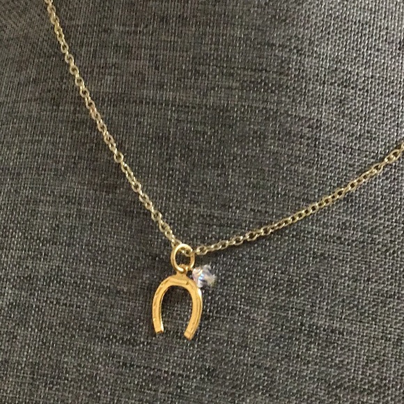 Horseshoe Necklace - Picture 2 of 5